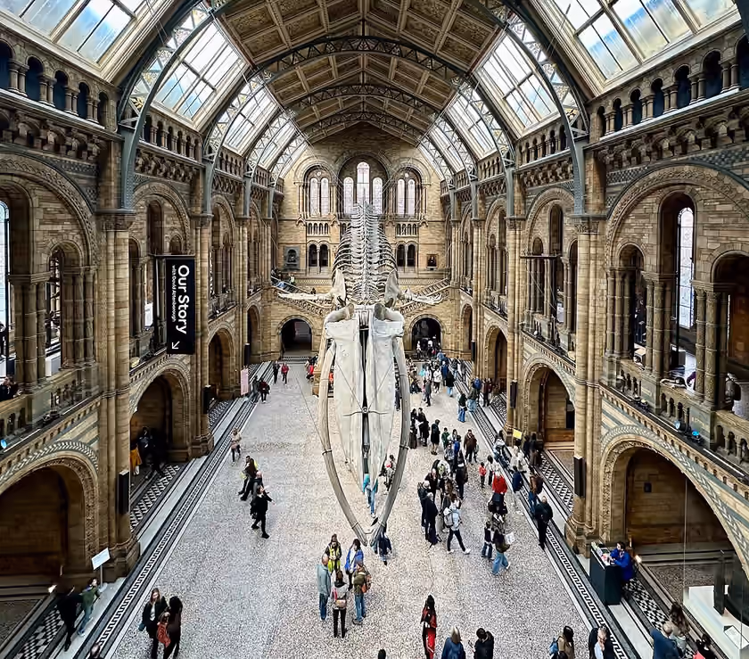 Hintze Hall inside London’s Natural History Museum