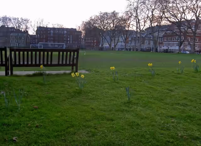 Westminster School playing fields at Vincent Square