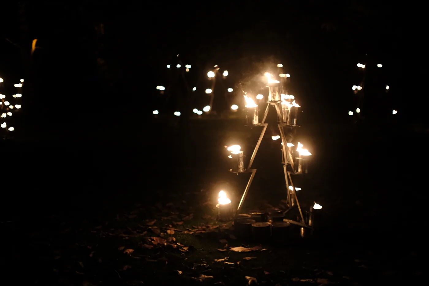 Christmas at Kew light trail in December 2024